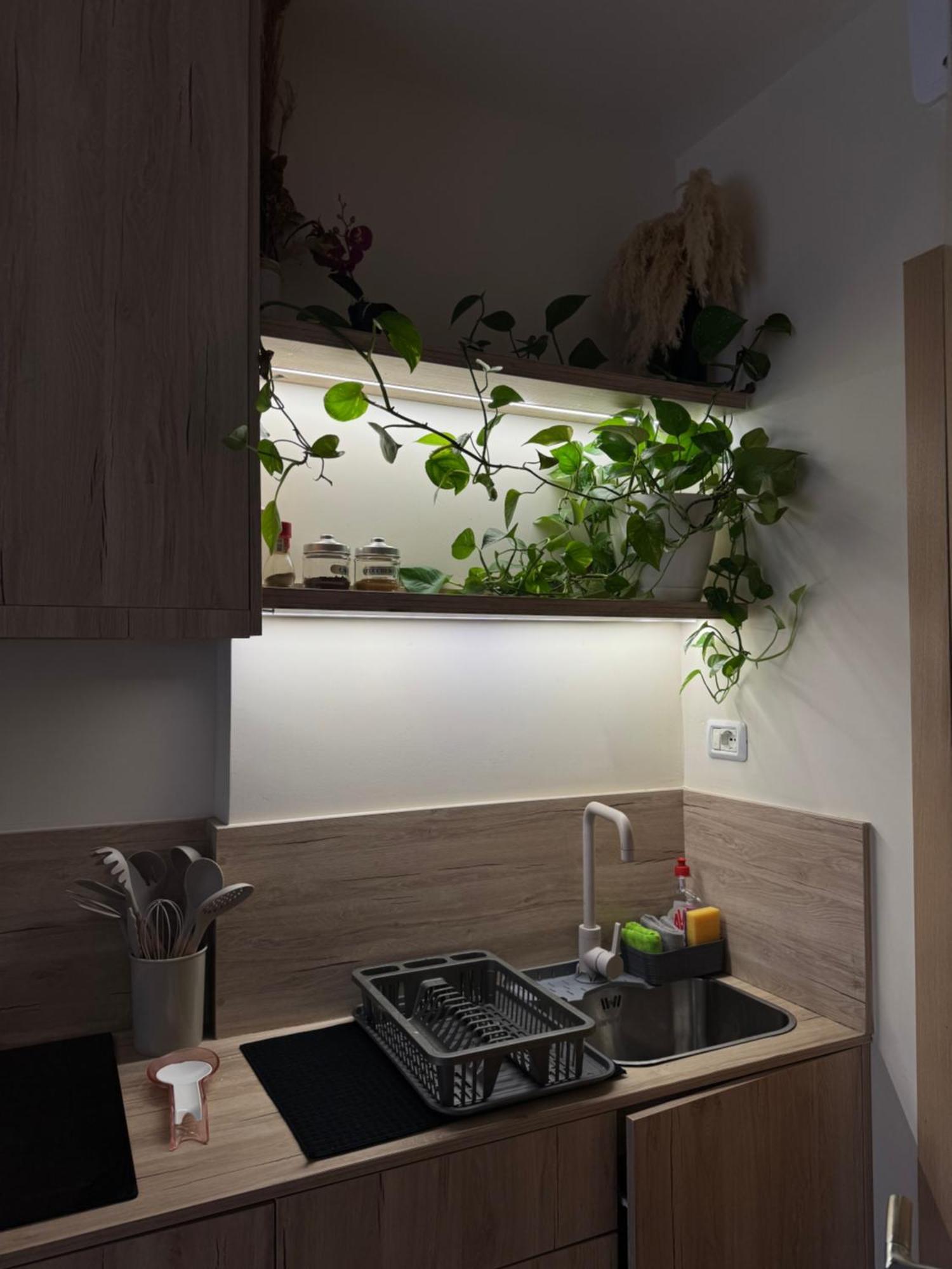 Vlora Studio Wlora